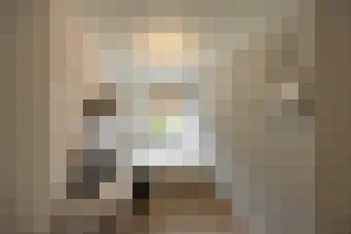 Palmslag 73 Groningen thumbnail 21