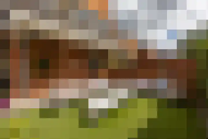 Palmslag 73 Groningen thumbnail 27