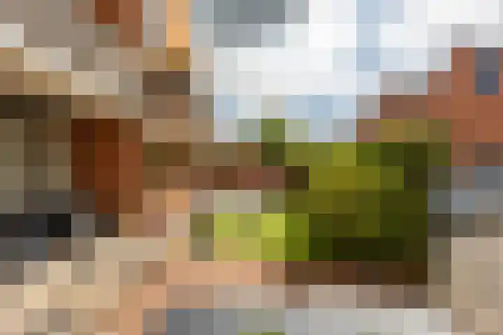 Palmslag 73 Groningen thumbnail 28