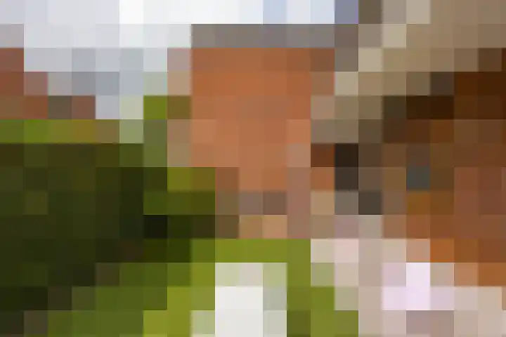 Palmslag 73 Groningen thumbnail 29