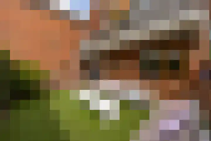Palmslag 73 Groningen thumbnail 30