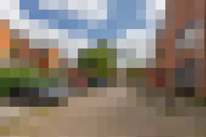 Palmslag 73 Groningen thumbnail 33