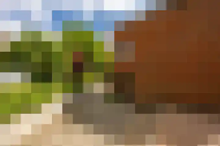 Palmslag 73 Groningen thumbnail 34