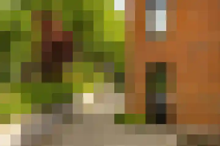 Palmslag 73 Groningen thumbnail 35