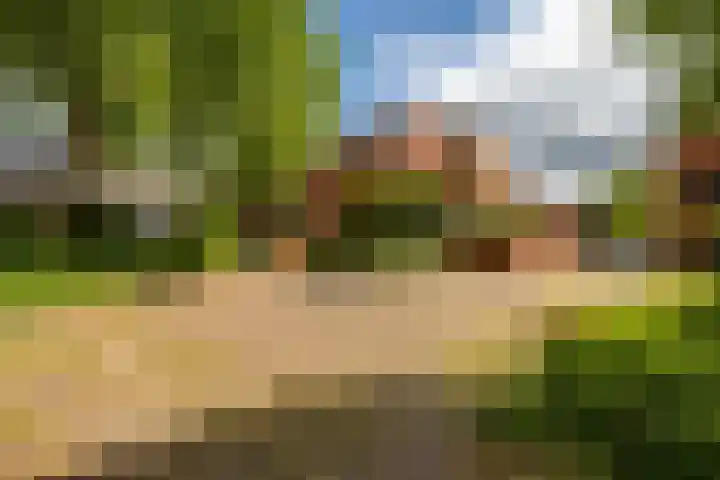 Palmslag 73 Groningen thumbnail 36