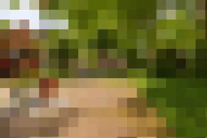 Palmslag 73 Groningen thumbnail 37
