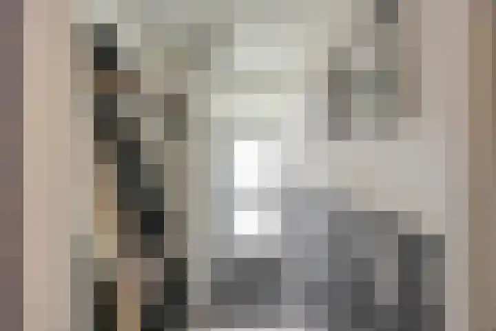Palmslag 73 Groningen thumbnail 6