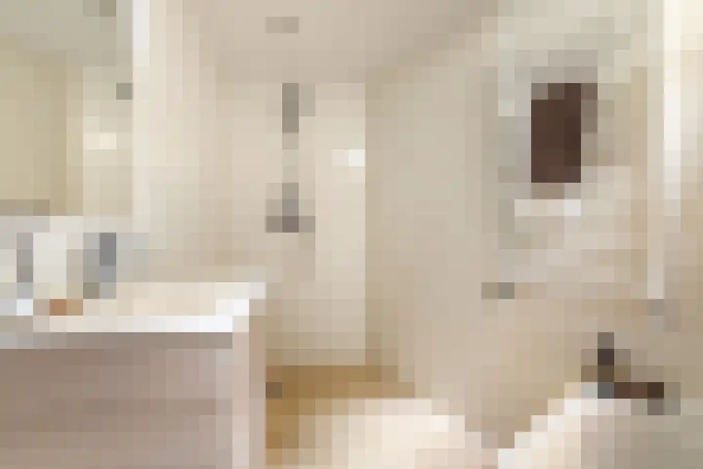 Palmstraat 1 Amsterdam thumbnail 19