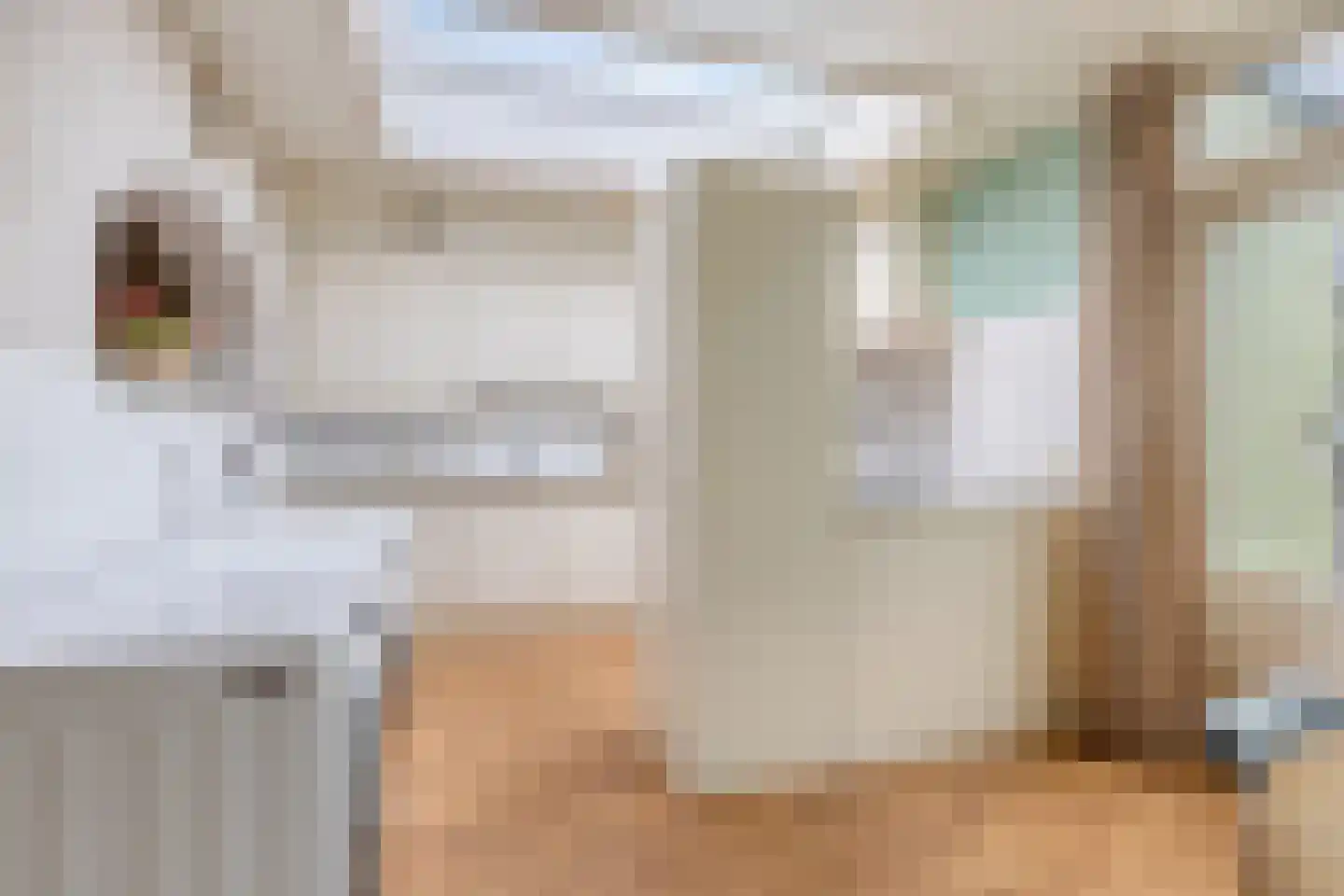 Palmstraat 11 Asten thumbnail 16