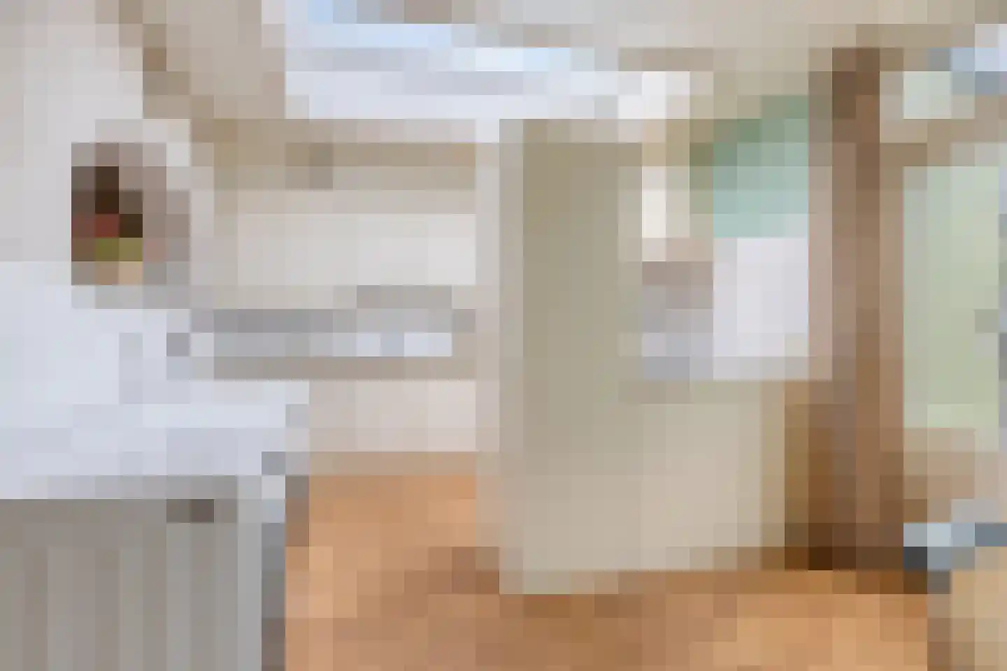 Palmstraat 11 Asten thumbnail 16