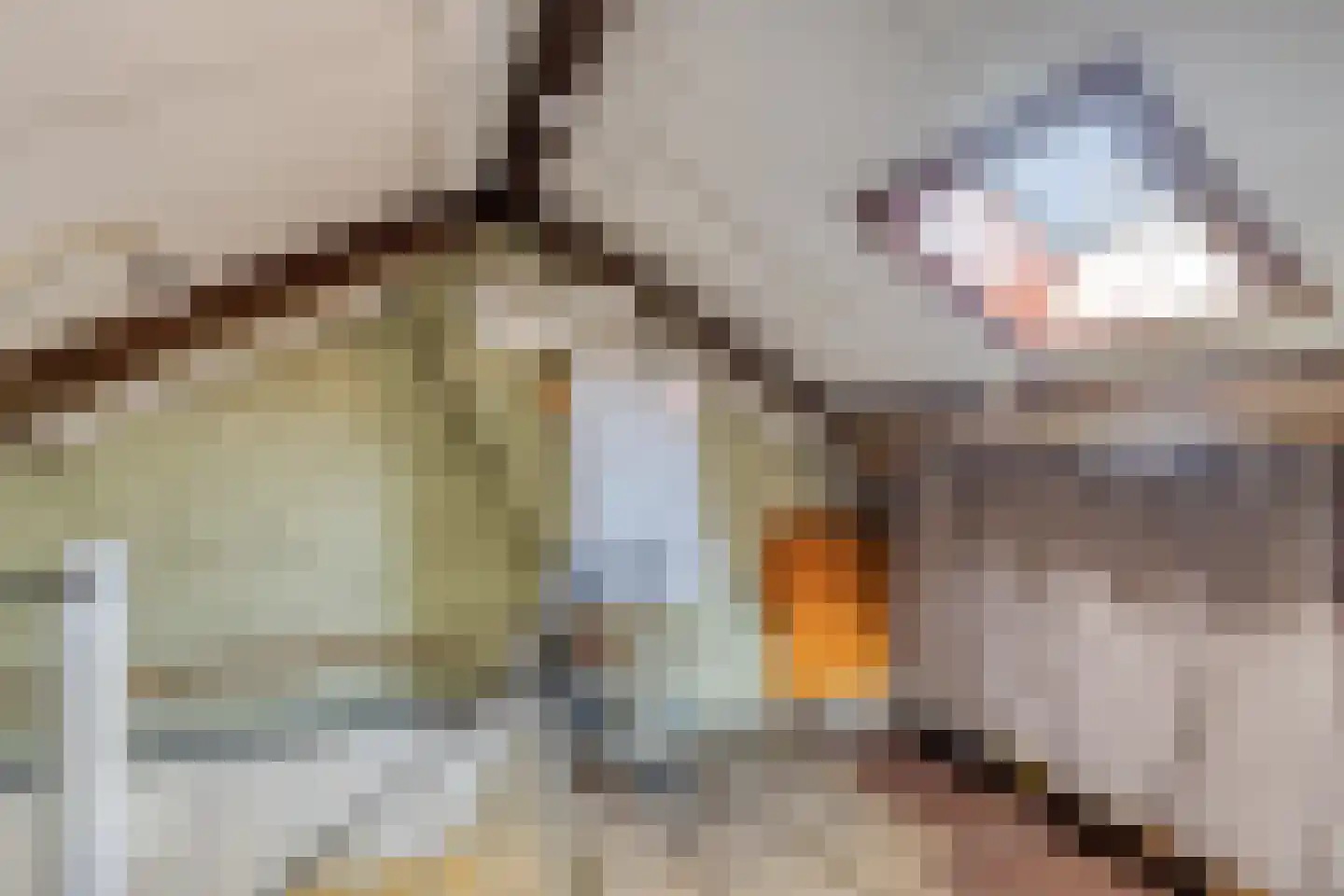 Palmstraat 11 Asten thumbnail 25