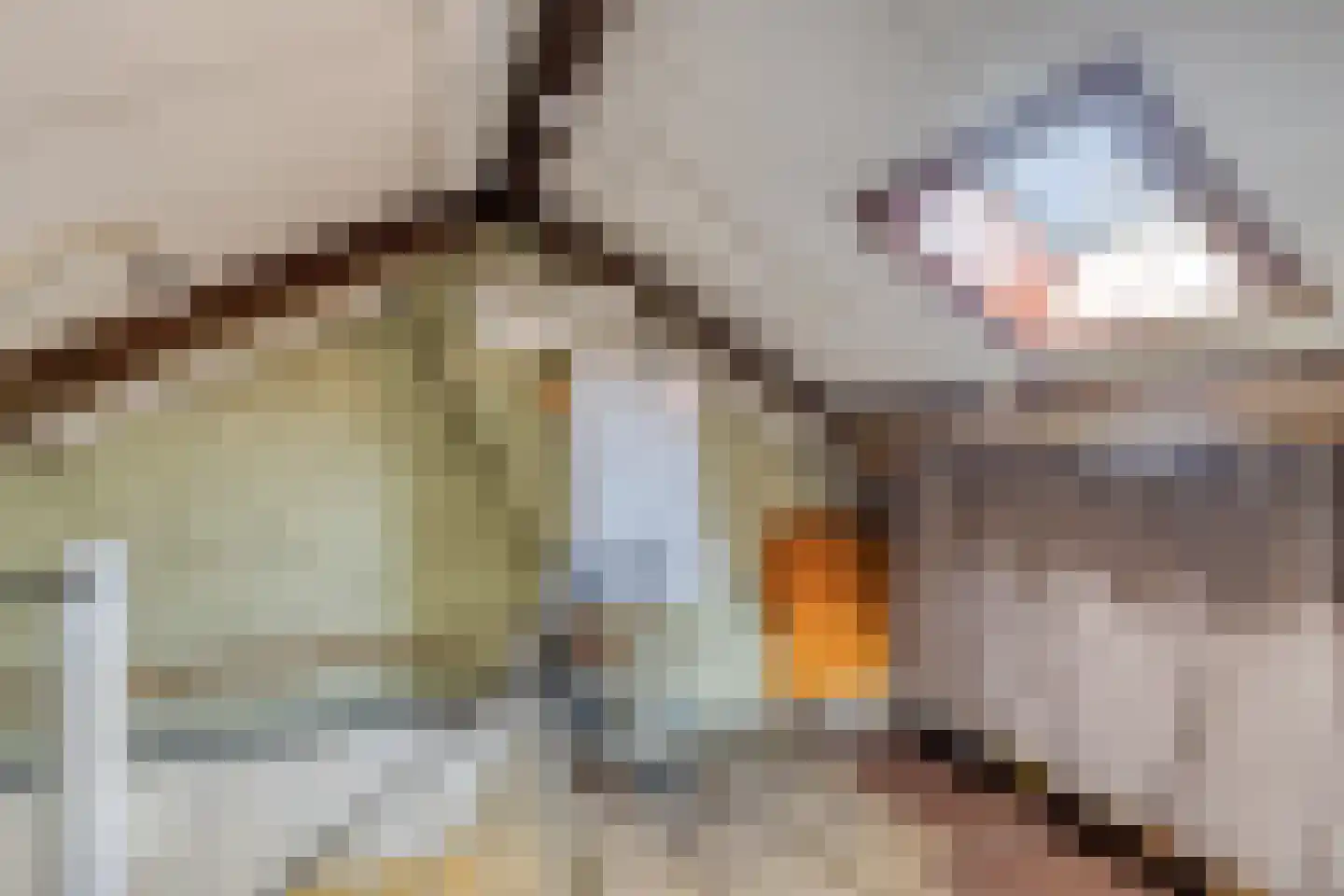 Palmstraat 11 Asten thumbnail 25