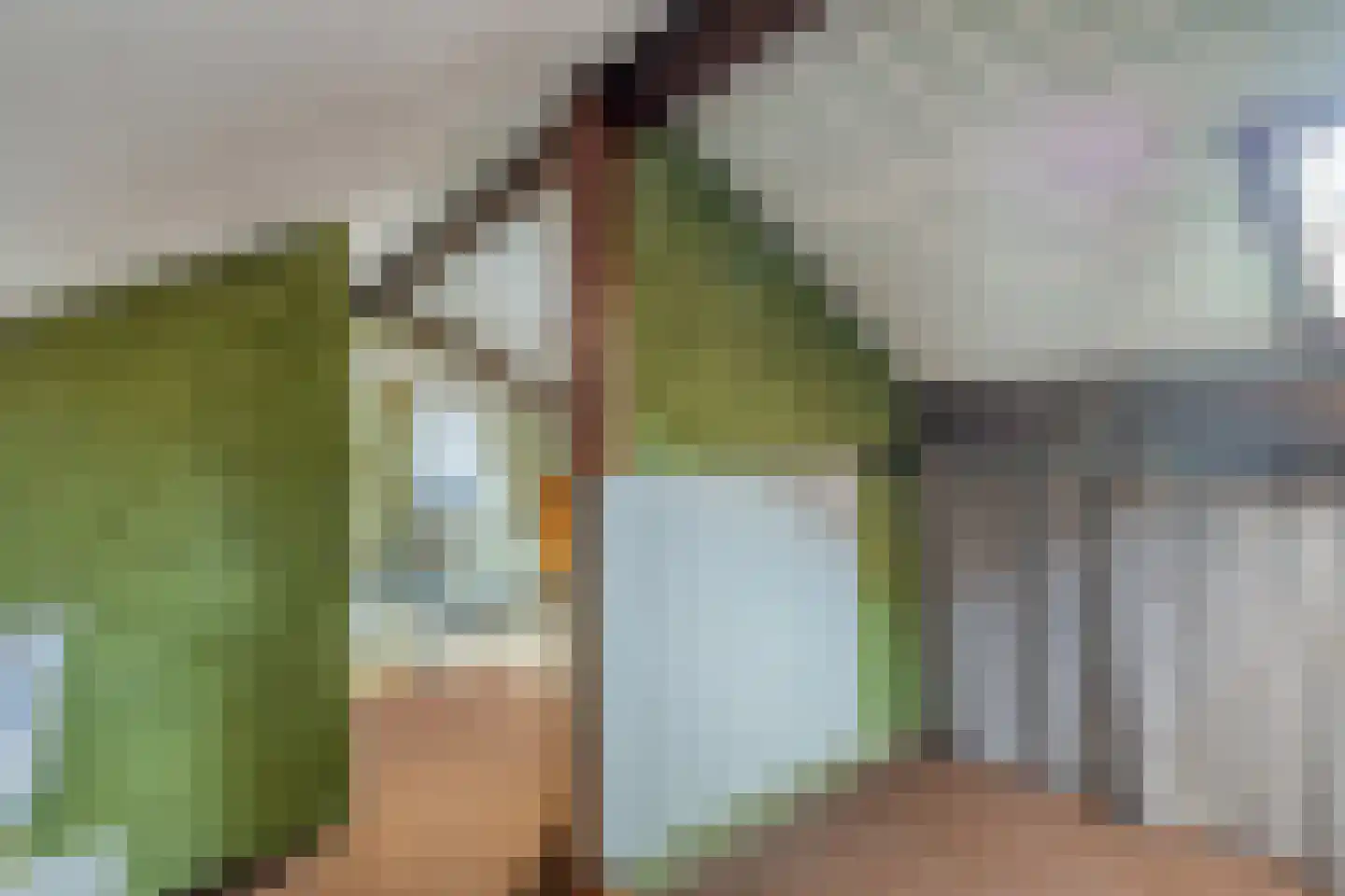 Palmstraat 11 Asten thumbnail 26