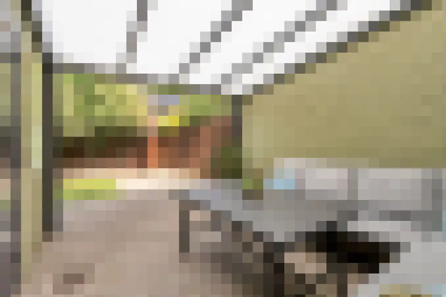 Palmstraat 11 Asten thumbnail 31