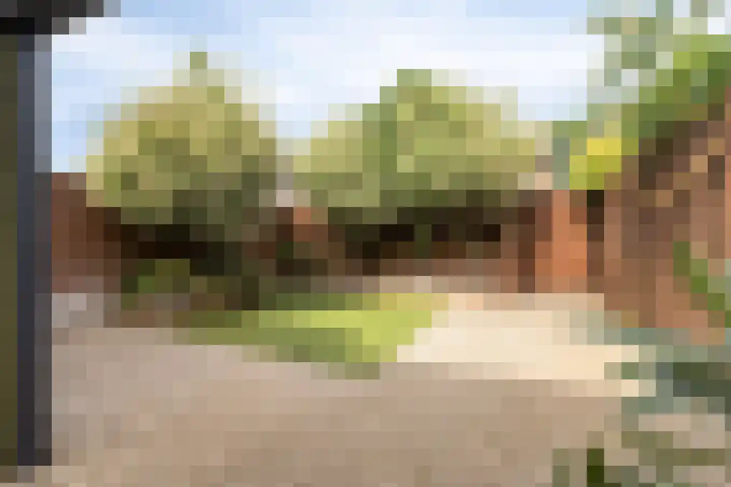 Palmstraat 11 Asten thumbnail 4