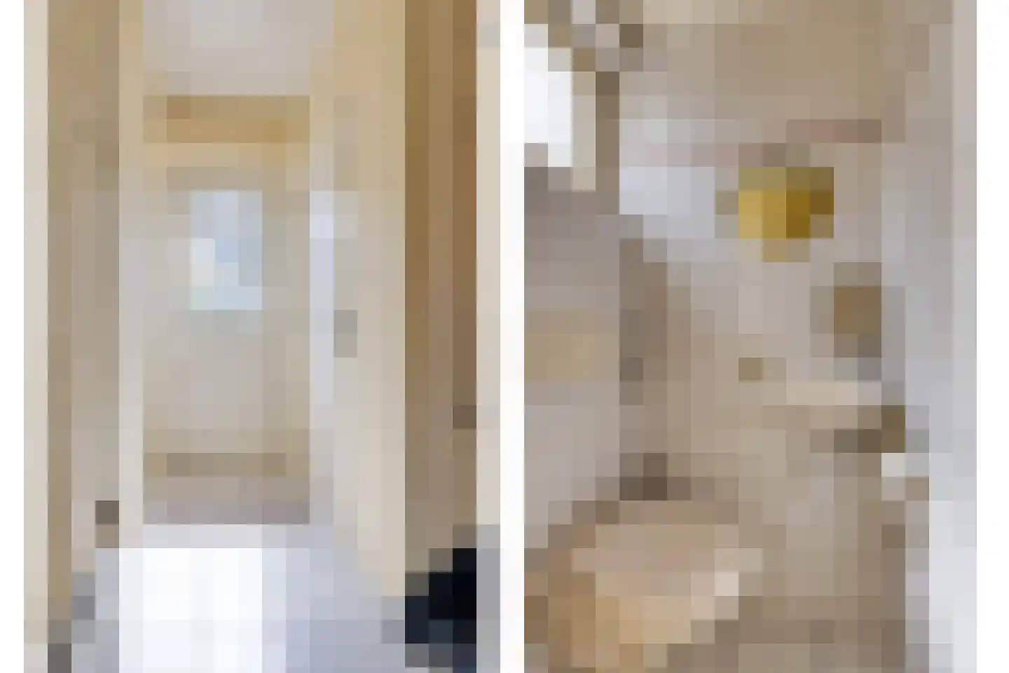 Palmstraat 11 Asten thumbnail 8