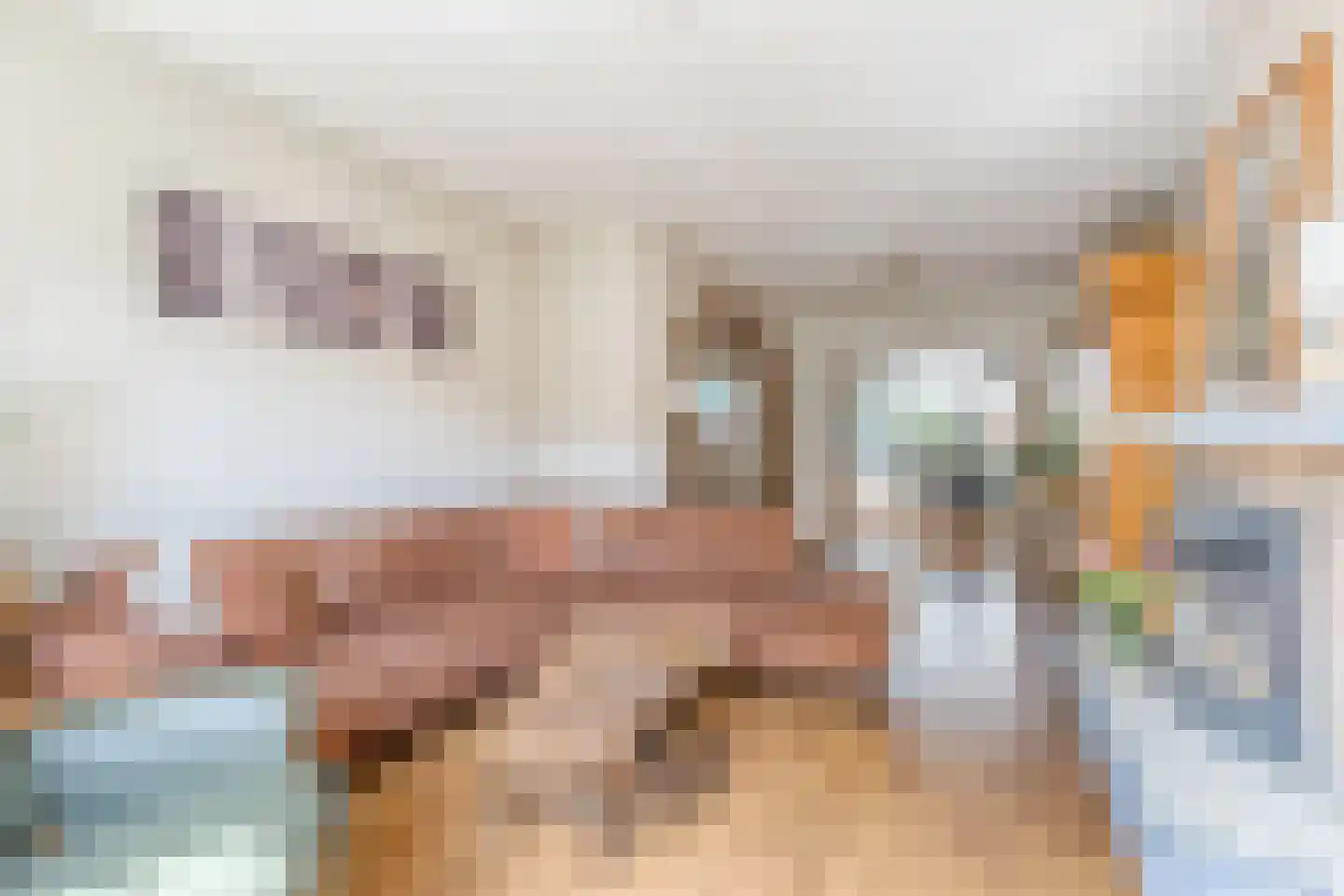 Palmstraat 11 Asten thumbnail 9