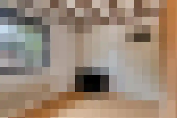 Palmstraat 15 Asten thumbnail 19