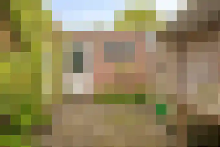 Palmstraat 15 Asten thumbnail 22