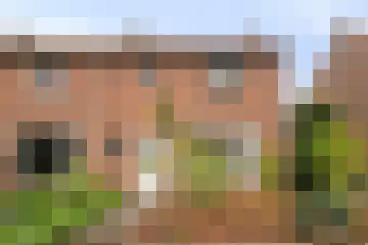 Palmstraat 15 Asten thumbnail 24