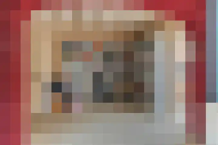 Palmstraat 15 Asten thumbnail 6