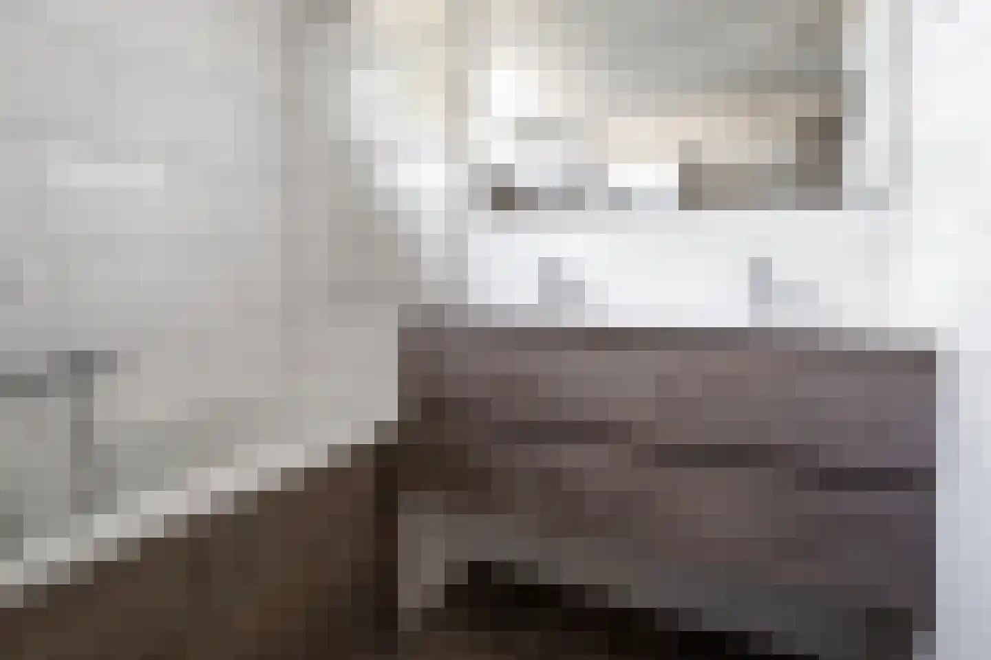 Palmstraat 17 Borne thumbnail 14