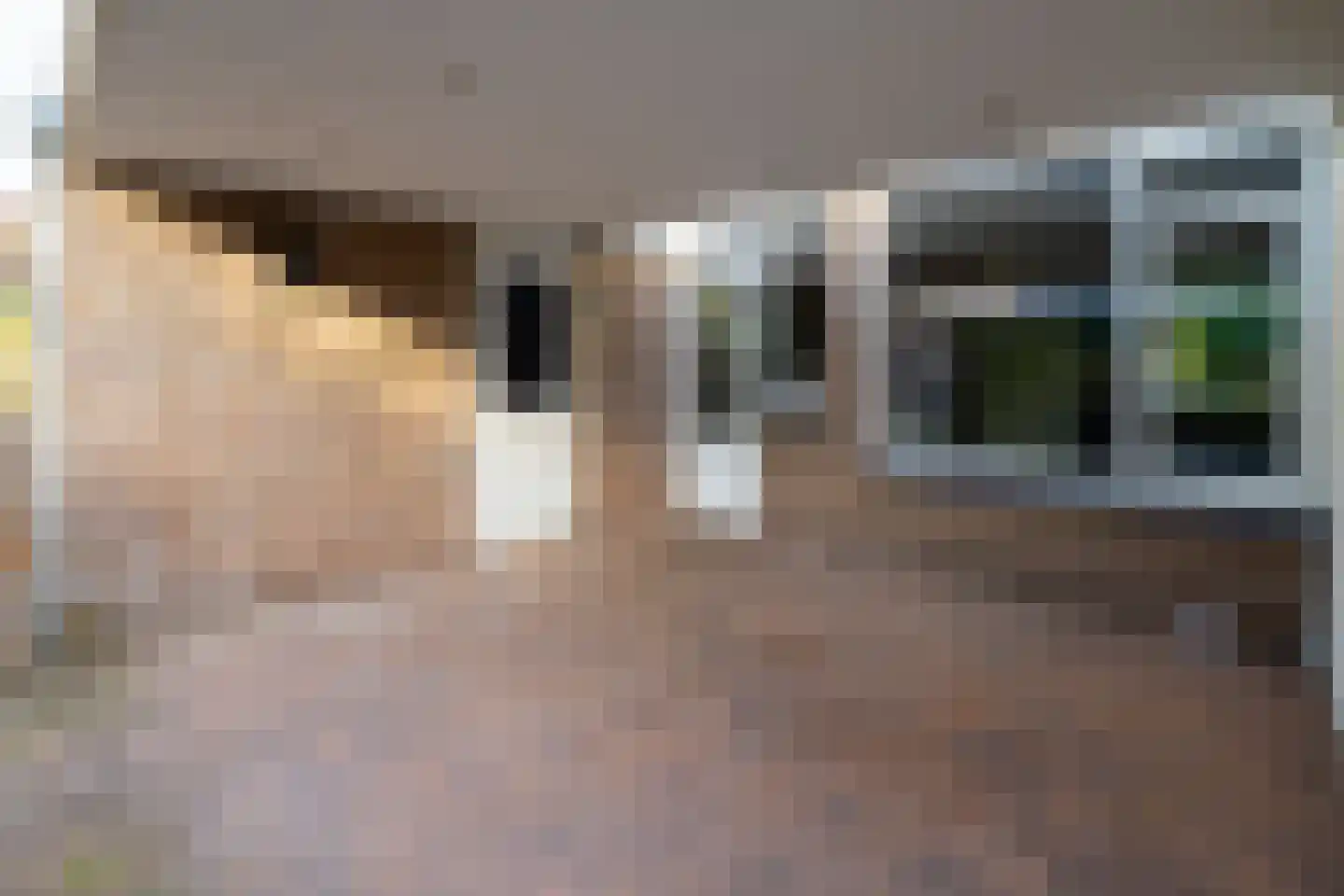 Palmstraat 17 Borne thumbnail 24