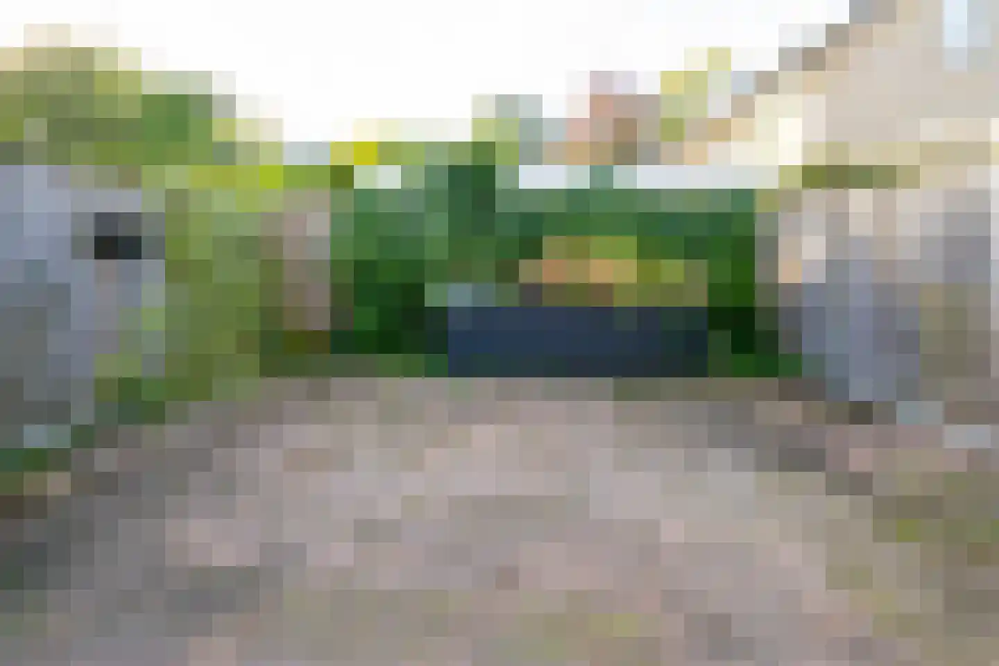Palmstraat 17 Borne thumbnail 25