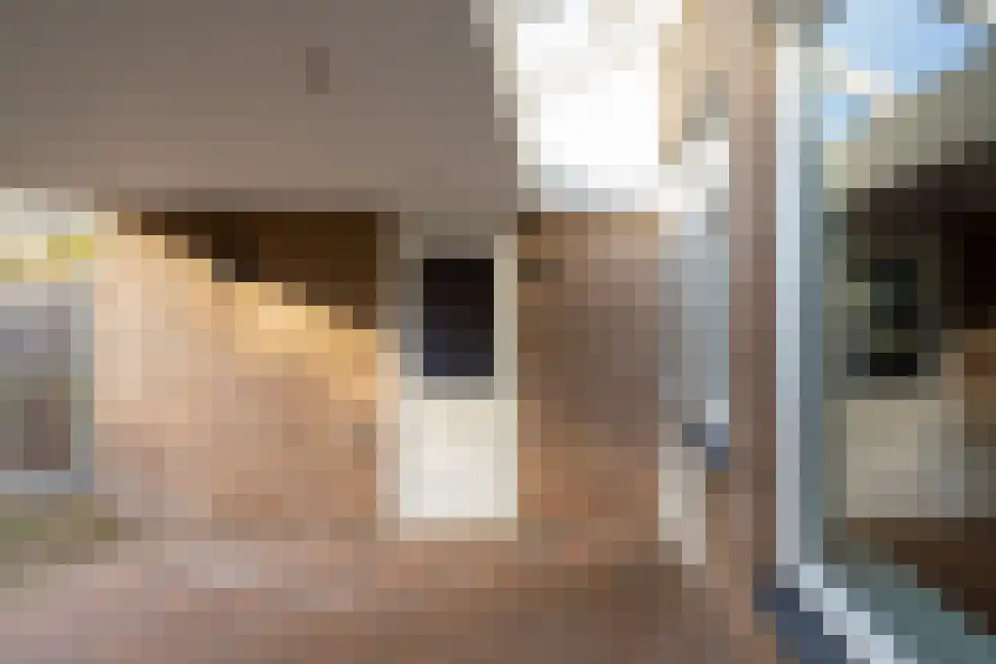 Palmstraat 17 Borne thumbnail 26