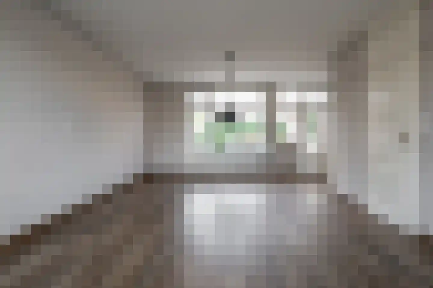 Palmstraat 17 Borne thumbnail 8