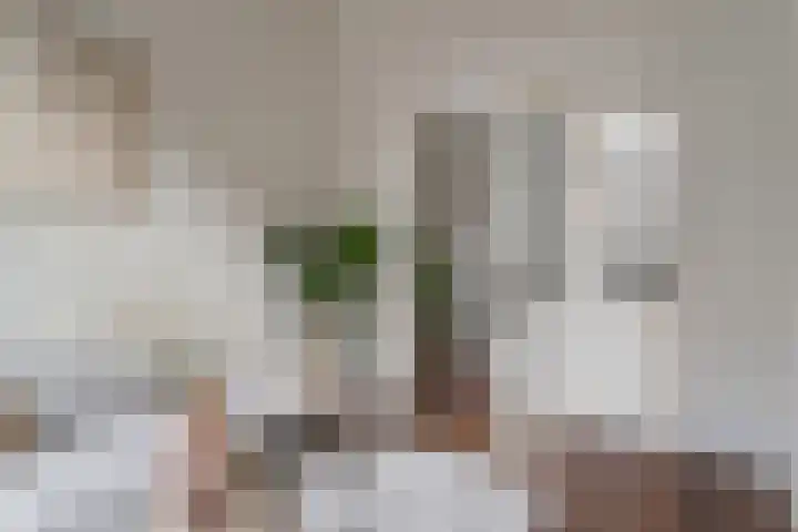 Palmstraat 17 Utrecht thumbnail 8