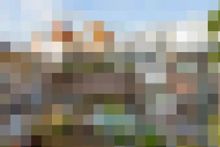 Palmstraat 19 BS Utrecht thumbnail 15