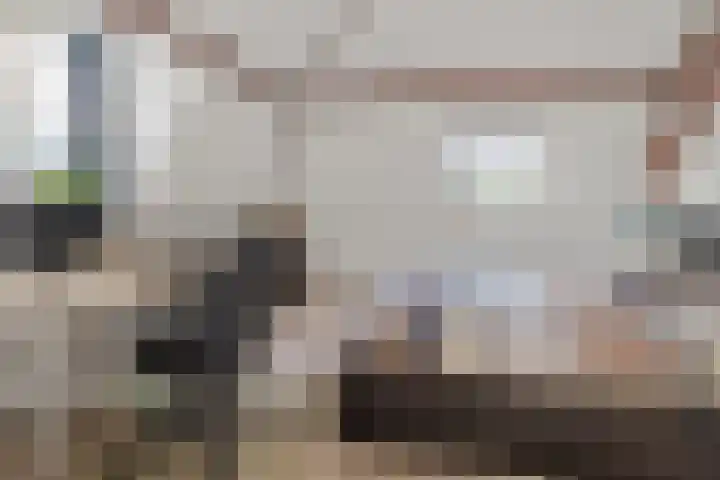 Palmstraat 19 BS Utrecht thumbnail 17