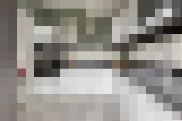 Palmstraat 20 Asten thumbnail 18