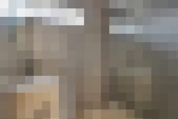Palmstraat 20 Asten thumbnail 24