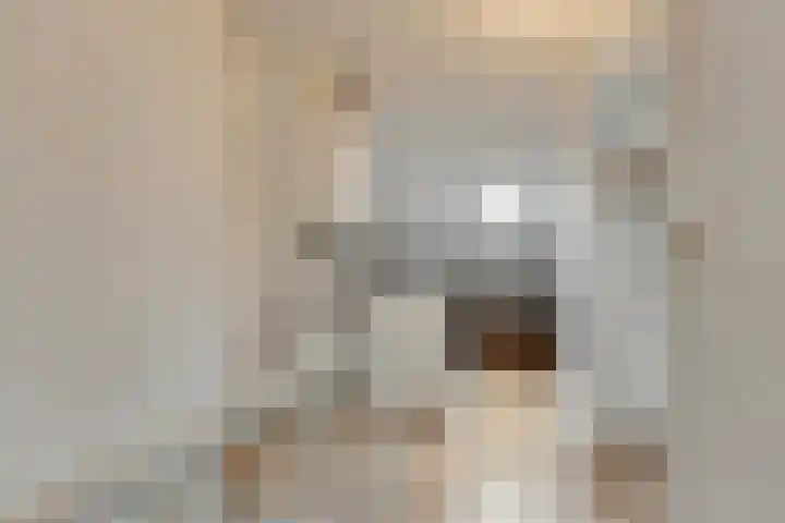 Palmstraat 20 Asten thumbnail 26