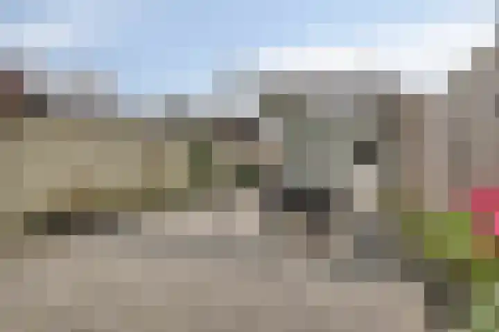 Palmstraat 20 Asten thumbnail 30