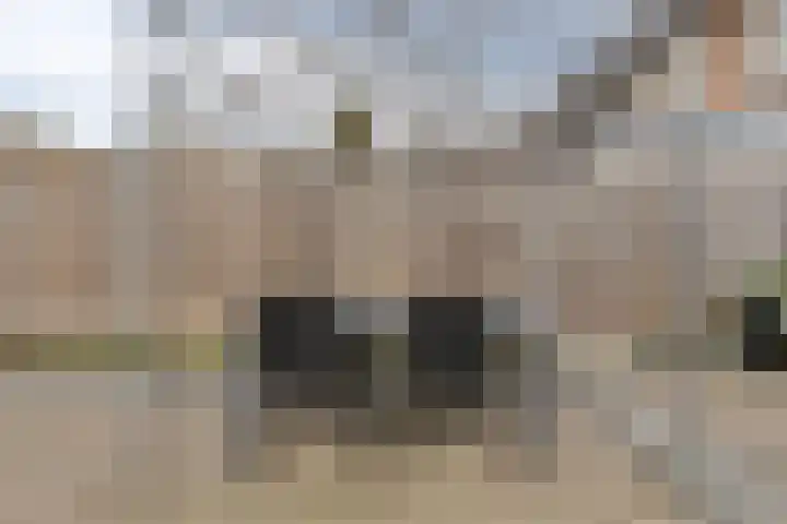 Palmstraat 20 Asten thumbnail 32