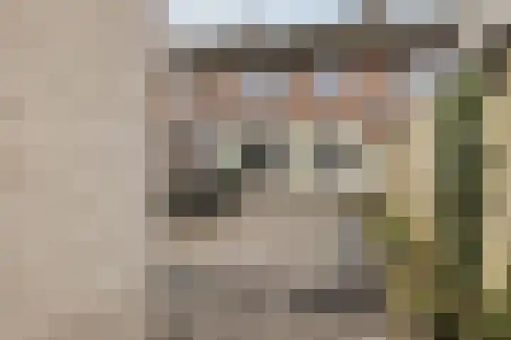 Palmstraat 20 Asten thumbnail 33