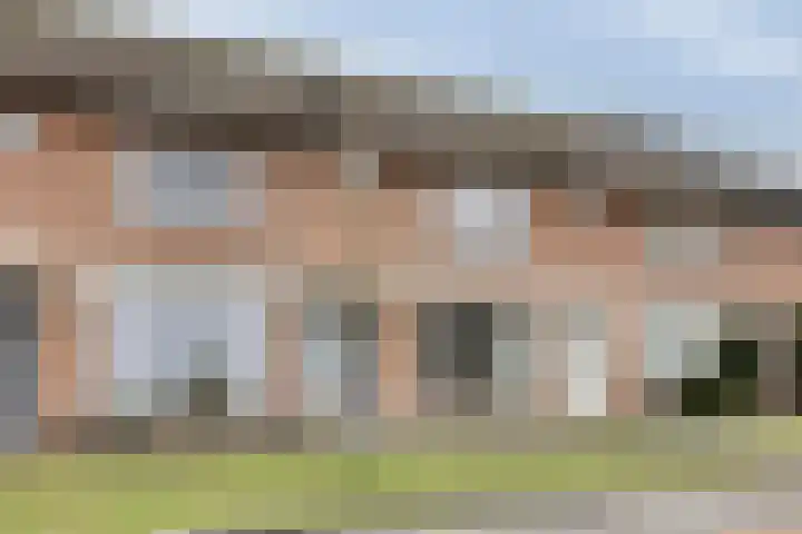 Palmstraat 20 Asten thumbnail 6