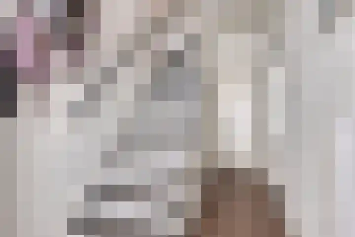Palmstraat 20 Asten thumbnail 8