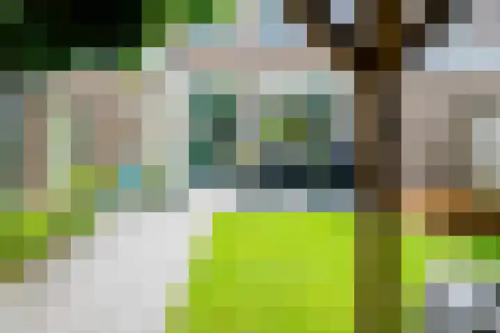 Palmstraat 20 Borne thumbnail 31