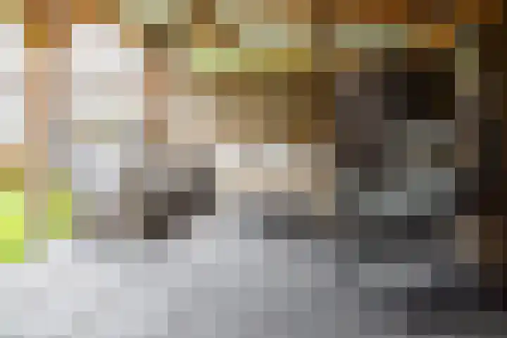 Palmstraat 20 Borne thumbnail 32