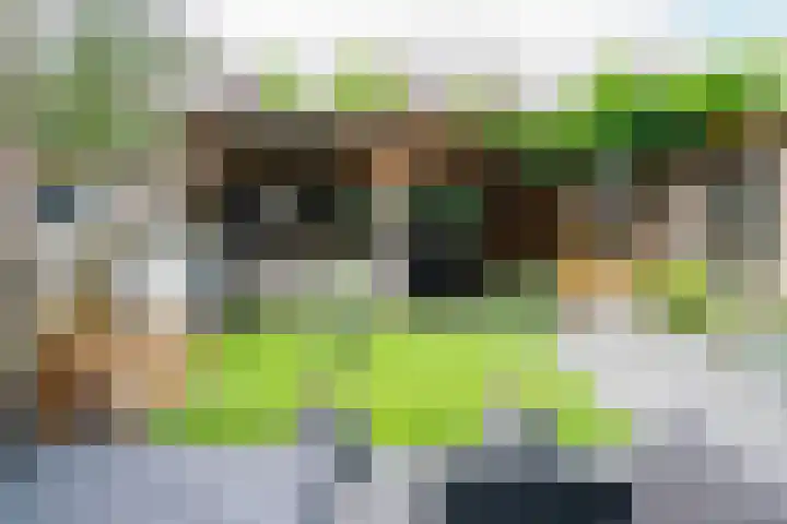 Palmstraat 20 Borne thumbnail 4