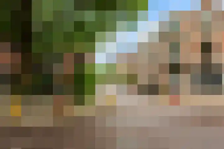 Palmstraat 21 Utrecht thumbnail 32