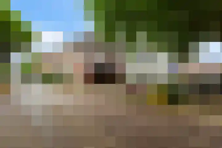 Palmstraat 21 Utrecht thumbnail 33