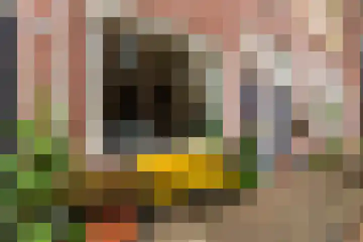 Palmstraat 21 Utrecht thumbnail 7