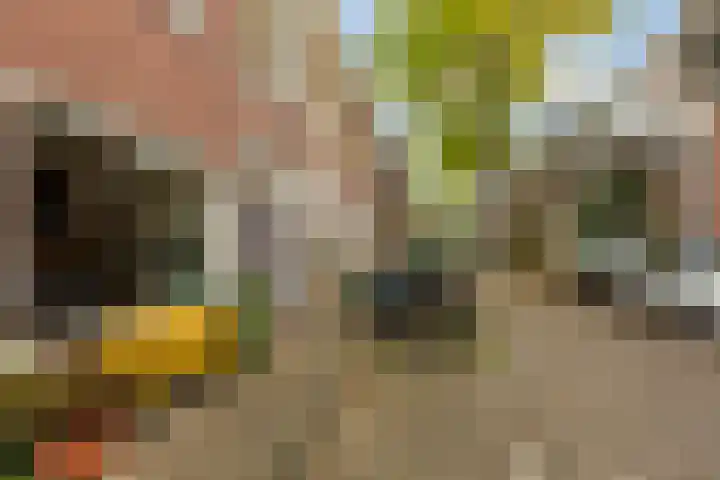 Palmstraat 21 Utrecht thumbnail 8