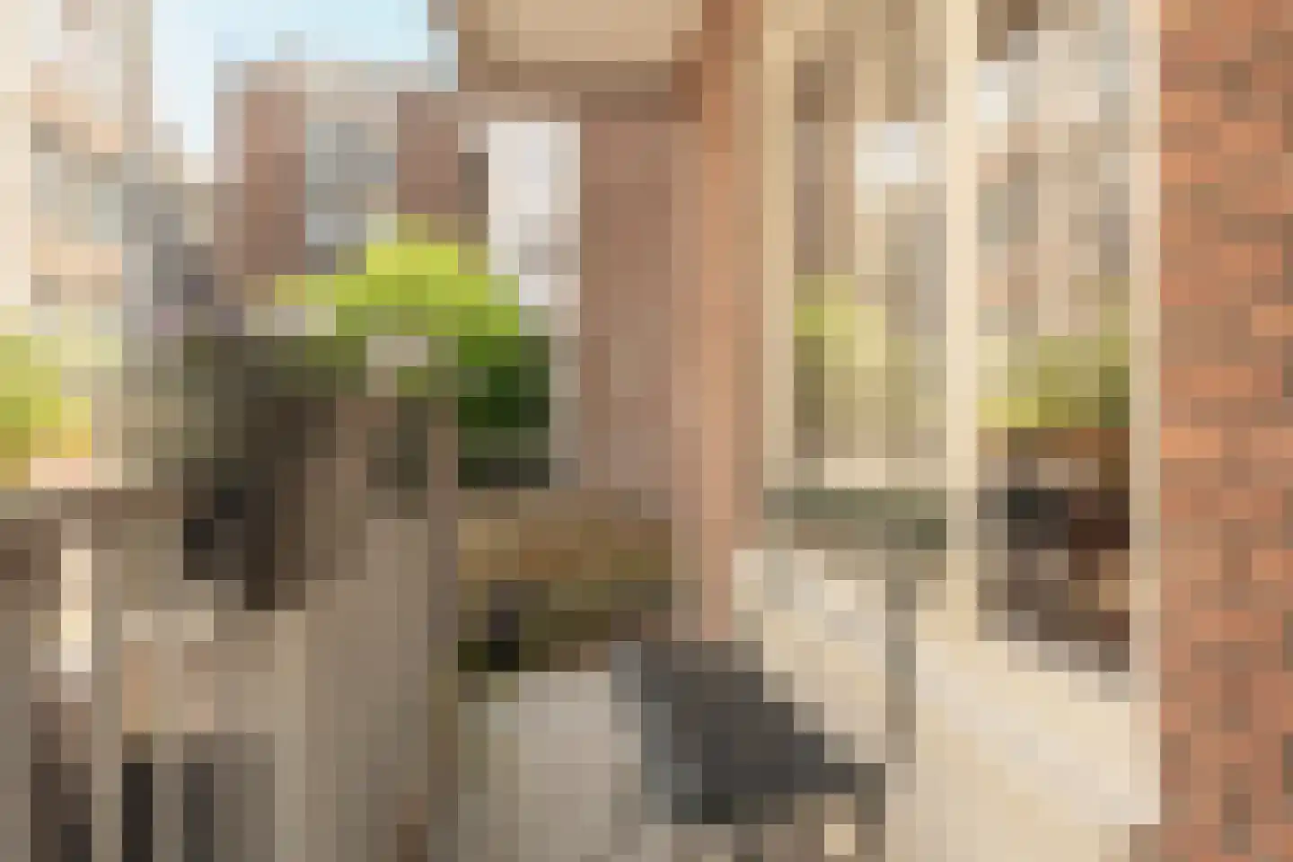 Palmstraat 24 1 Amsterdam thumbnail 12