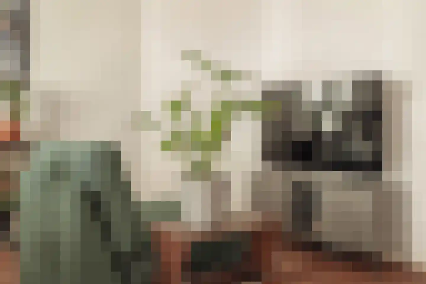Palmstraat 24 1 Amsterdam thumbnail 4